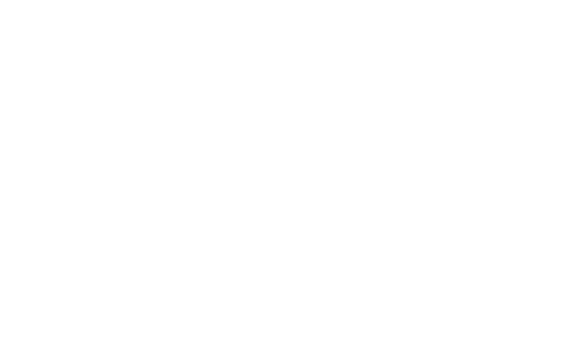 STEP logo in white