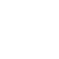 Fifth Sense logo in white