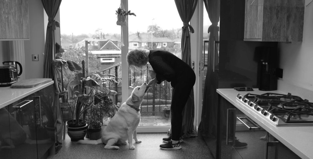 A woman bending down to stroke her labrador dog's head, with a window behind them